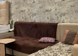 Сдается однокомнатная квартира, 42 м2, Республика Башкортостан, улица Гончарова, 14