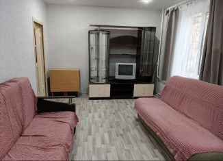 Сдаю в аренду 1-комнатную квартиру, 33 м2, Колпино, Новгородская улица, 14