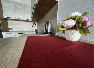 Сдам 1-комнатную квартиру, 42 м2, Тула, улица Академика Насоновой, 9Б, Центральный территориальный округ