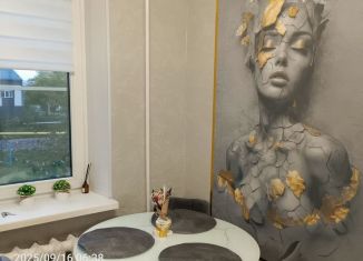 Сдается в аренду 1-комнатная квартира, 30.2 м2, Камышлов, Боровая улица, 6