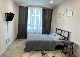 Сдается однокомнатная квартира, 40 м2, Республика Башкортостан, улица Рудольфа Нуреева, 6