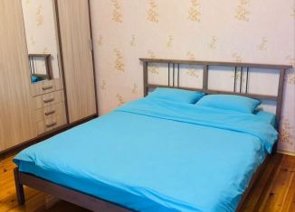 Сдаю в аренду 1-ком. квартиру, 48 м2, Карелия, проспект Александра Невского, 63А