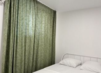 Сдаю в аренду квартиру студию, 20 м2, Сириус, Весёлая улица, 12/1