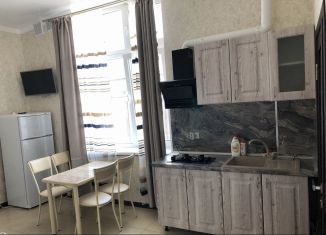 Аренда 1-ком. квартиры, 28 м2, Краснодар, микрорайон Дубинка, улица КИМ, 116