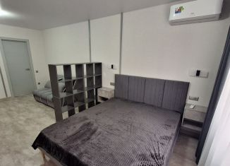 Аренда 1-комнатной квартиры, 42 м2, Ростов-на-Дону, улица Воровского, 17с1, Первомайский район