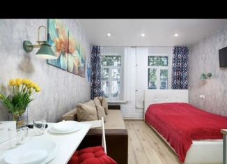 Сдаю квартиру студию, 18 м2, Санкт-Петербург, Мытнинская улица, 11, муниципальный округ Смольнинское