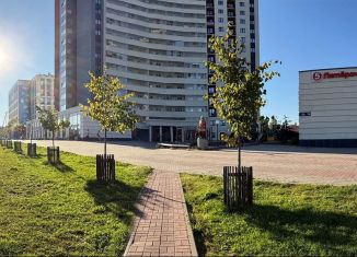 Аренда квартиры студии, 22.5 м2, Карелия, улица Чапаева, 50