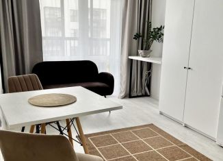 Сдам в аренду однокомнатную квартиру, 33 м2, Санкт-Петербург, проспект Ветеранов, 198, Красносельский район