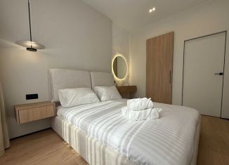 Сдается в аренду 1-комнатная квартира, 39 м2, Краснодар, Красная улица, 176, микрорайон Центральный