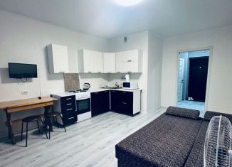 Сдаю в аренду квартиру студию, 30 м2, Республика Башкортостан, проспект Дружбы Народов, 57/1