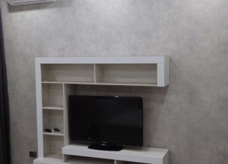 Сдаю в аренду двухкомнатную квартиру, 60 м2, Пензенская область, улица Володарского, 68