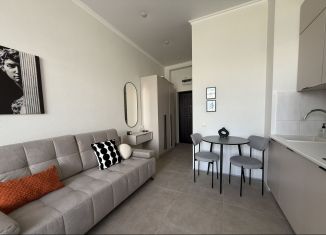 Сдам в аренду квартиру студию, 27 м2, Сириус, Весёлая улица, 82/1Б