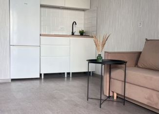 Сдам в аренду квартиру студию, 27 м2, Пермь, Сапфирная улица