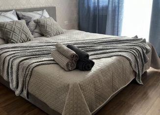 Сдам однокомнатную квартиру, 30 м2, Кемеровская область, Октябрьский проспект, 55