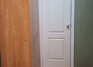 Аренда 2-ком. квартиры, 52 м2, Набережные Челны, проспект Хасана Туфана, 42