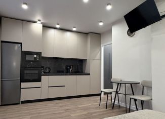 Квартира в аренду студия, 25.7 м2, Северодвинск, улица Ломоносова, 79к4