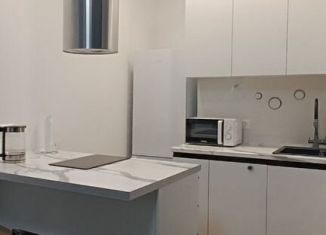 Сдам 1-комнатную квартиру, 40 м2, Тюмень, Краснооктябрьская улица, 16