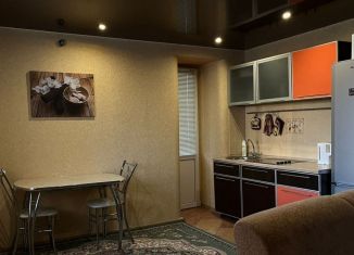 Сдается квартира студия, 39.9 м2, Пензенская область, 3-й проезд Рахманинова, 3