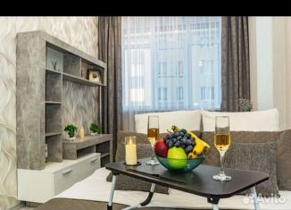 Сдаю в аренду 1-комнатную квартиру, 42 м2, Ростов-на-Дону, улица Мечникова, Ленинский район