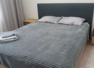 1-ком. квартира в аренду, 36.6 м2, Луга, Медведское шоссе, 15к1