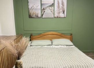 Квартира в аренду студия, 19 м2, Удмуртия, улица Карла Маркса