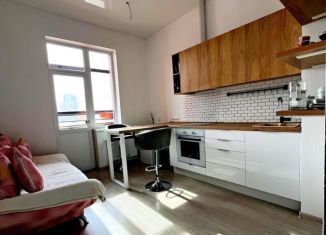 1-комнатная квартира в аренду, 45 м2, Свердловская область, улица Татищева, 177