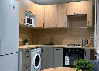 Аренда квартиры студии, 31 м2, Ростов-на-Дону, проспект Ленина, 123/1