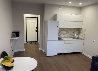 Сдача в аренду квартиры студии, 27 м2, Краснодар, улица Ивана Беличенко, 88к1