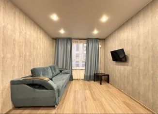 Аренда квартиры студии, 28 м2, Новосибирск, улица Владимира Заровного, 40, метро Речной вокзал