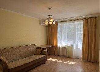 Сдам в аренду 1-ком. квартиру, 40 м2, Ростов-на-Дону, Днепровский переулок, 124/6, Первомайский район