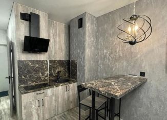 Сдача в аренду квартиры студии, 25 м2, Ростов-на-Дону, проспект Соколова, 68/118Вс1, Кировский район