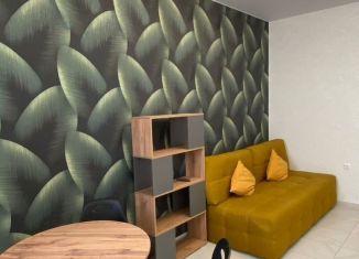 Сдача в аренду 1-комнатной квартиры, 38 м2, Краснодар, Российская улица, 267к5, Музыкальный микрорайон