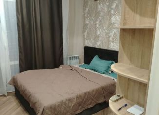 Сдается в аренду однокомнатная квартира, 36 м2, Сочи, улица Гагарина, 55В