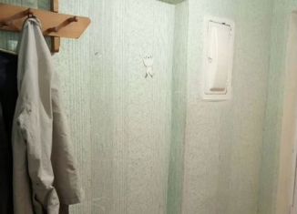 Двухкомнатная квартира в аренду, 42 м2, Оленегорск, улица Ферсмана, 5