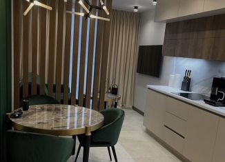 Сдается в аренду однокомнатная квартира, 52 м2, Санкт-Петербург, улица Катерников, 7, Красносельский район