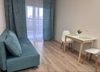 Аренда двухкомнатной квартиры, 38.6 м2, Республика Башкортостан, Айская улица, 51