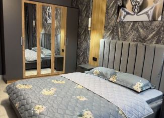 Сдается однокомнатная квартира, 50 м2, Пятигорск, улица Пестова, 5