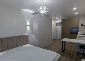 Сдаю в аренду квартиру студию, 24 м2, Республика Башкортостан, улица Художника Позднова, 11