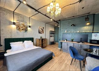 Аренда квартиры студии, 32 м2, Ростов-на-Дону, улица Мечникова, 41/53, Ленинский район