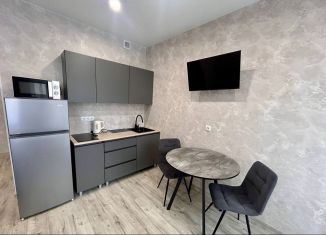 Сдается в аренду квартира студия, 28 м2, Воронеж, Краснознамённая улица, 109/1