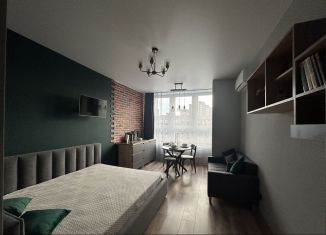 Квартира в аренду студия, 25 м2, Майкоп, улица К.А. Васильева, 2к4