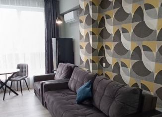 Сдача в аренду квартиры студии, 30 м2, Сочи, улица Гастелло, 28к2