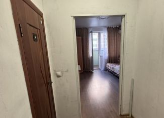 Сдаю в аренду квартиру студию, 24 м2, Краснодар, улица Западный Обход, 39/2к5