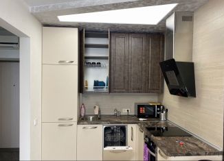 Аренда 2-ком. квартиры, 45 м2, Новосибирская область, улица Кошурникова, 23/2