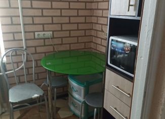 Однокомнатная квартира в аренду, 24 м2, Крым, улица Суворова, 25