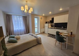 Квартира в аренду студия, 27.2 м2, Мурино, Новая улица, 15