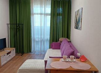 Сдам квартиру студию, 27 м2, Пермь, шоссе Космонавтов, 309Ак1