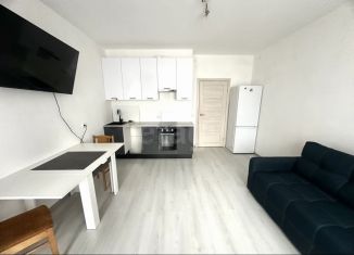 Сдаю квартиру студию, 25 м2, Санкт-Петербург, Меридианная улица, 6к1, Московский район