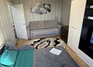 Сдаю в аренду 1-комнатную квартиру, 35 м2, Кингисепп, Крикковское шоссе