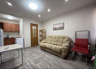 Сдам в аренду квартиру студию, 18 м2, Новосибирск, улица Никитина, 20А, метро Речной вокзал